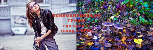 гашик Горно-Алтайск