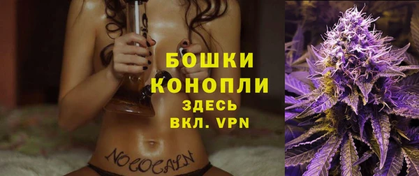 гашик Горно-Алтайск