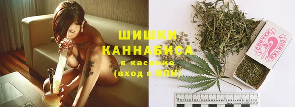 скорость Вяземский