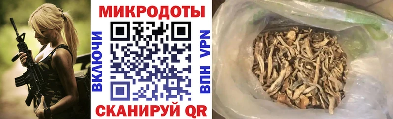 Галлюциногенные грибы Psilocybine cubensis  Смоленск 
